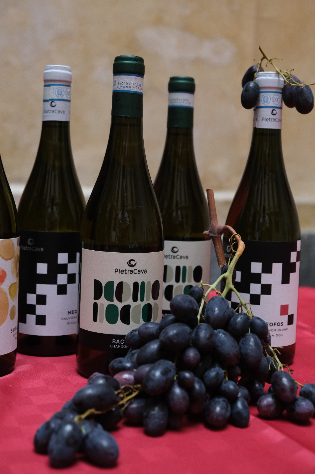 Wine Ciak 2026 — Caltagirone, foto 29: taglio del nastro, cantine, degustazioni, ospiti e allestimenti all'Atrio Palazzo di Città